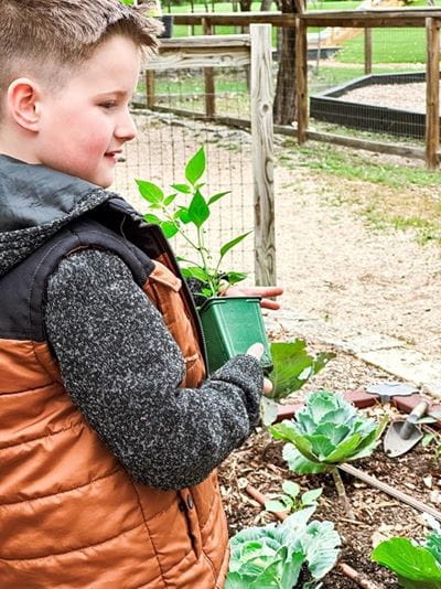 Earth Day Encore - boy gardening