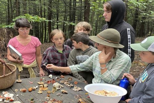 Foraging in "Upland": Hilltop Montessori’s Offering of Balance to Humanity’s Relationship with the World