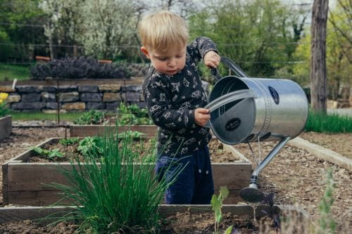 The Benefits of Gardening with Preschoolers