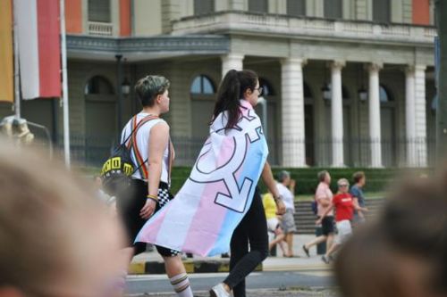 The Cultural Connection Celebrating Trans Day of Visibility