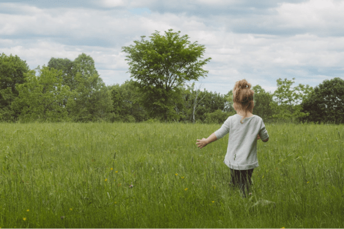 Using Wildflowers to Teach Children Biodiversity