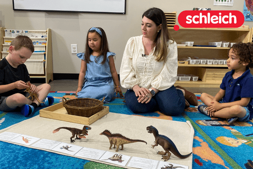 Montessori Lesson Ideas from Schleich: Part 4