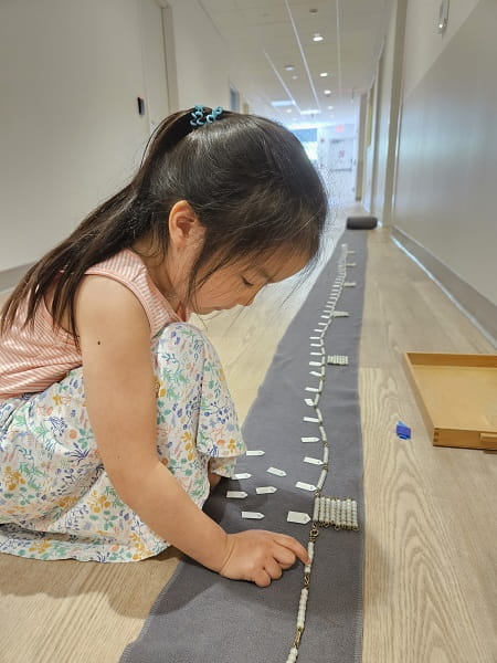 Spotlight Greene Town Montessori Academy 