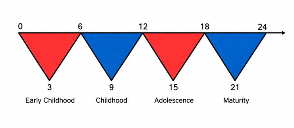 Montessori Planes of Development