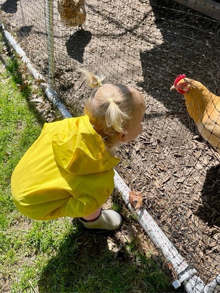 Earth Day Encore - girl with chicken