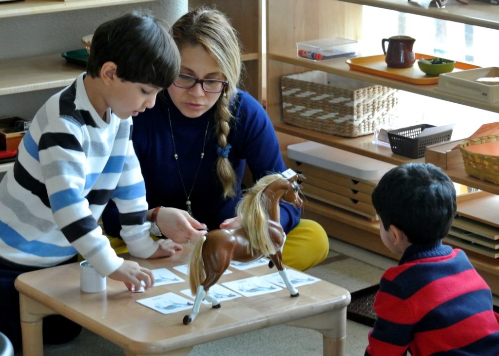 Fountainhead Montessori Adult Education