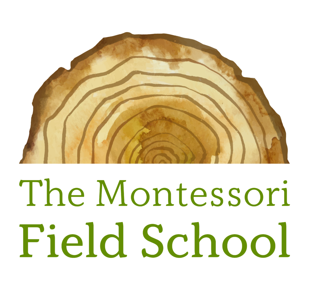Montessori Field School- Wildflower School