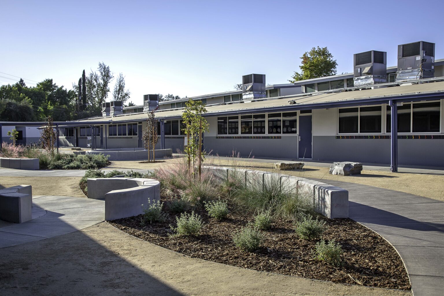 Montessori School Directory The American Montessori Society