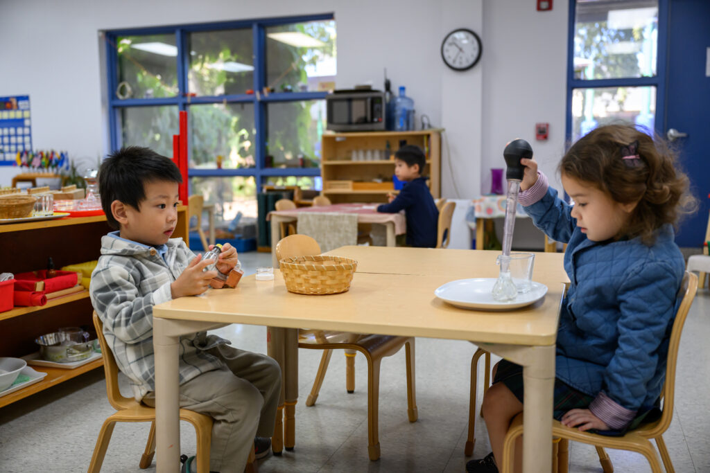 Grace & Courtesy: The Montessori Blueprint for Respect (Early Childhood)