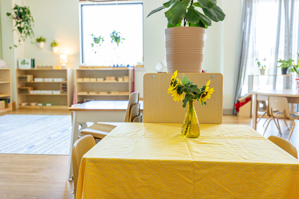 Young Minds Montessori School