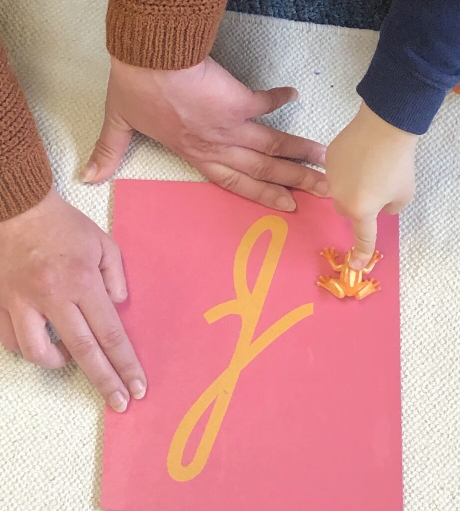 Virginia Center for Montessori Studies