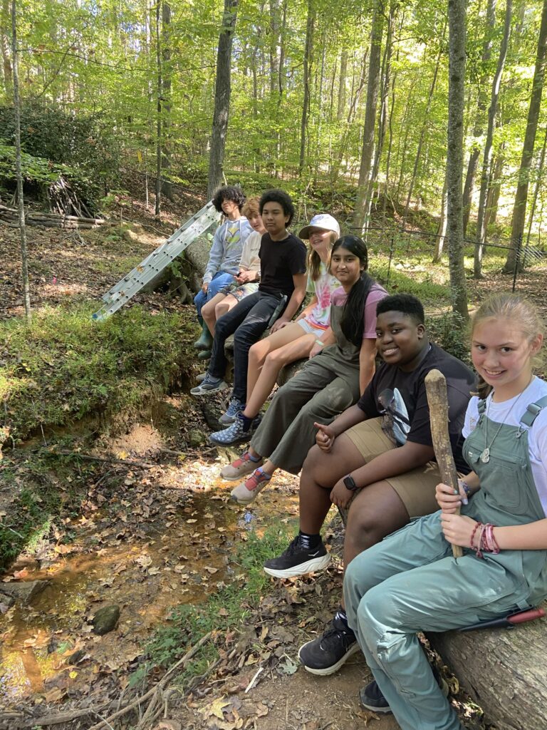 The Mosaic Field School