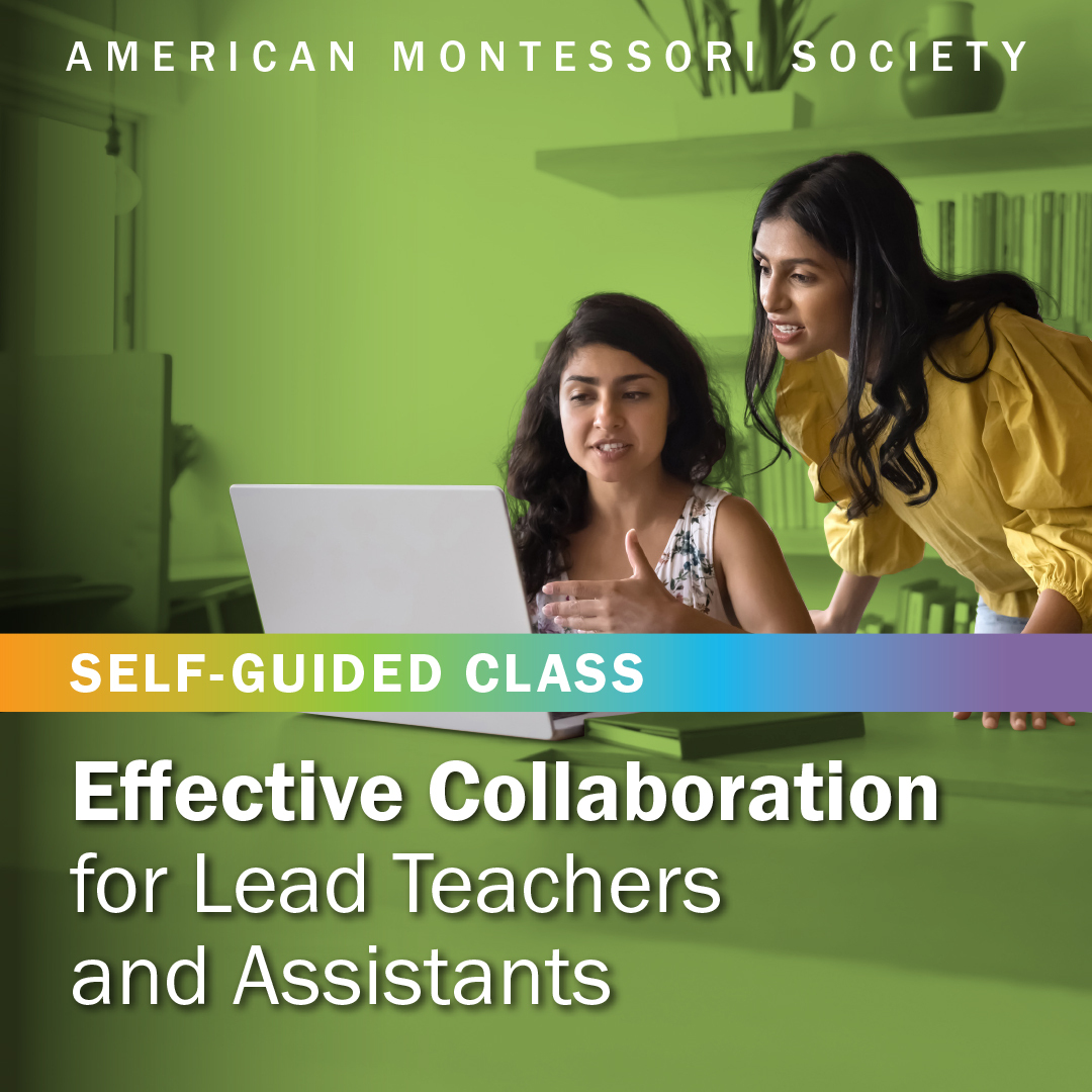 Effective Collaboration for Lead Teachers and Assistants