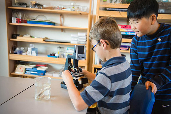 Elementary Science Certificate Program
