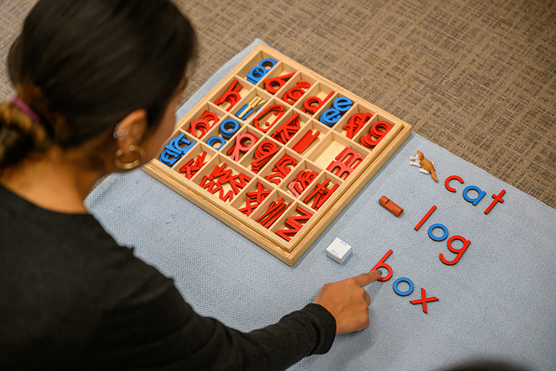 Montessori Materials