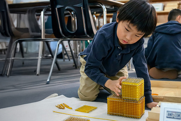 The Mathematical Mind: Why We Teach Math the Way We Do