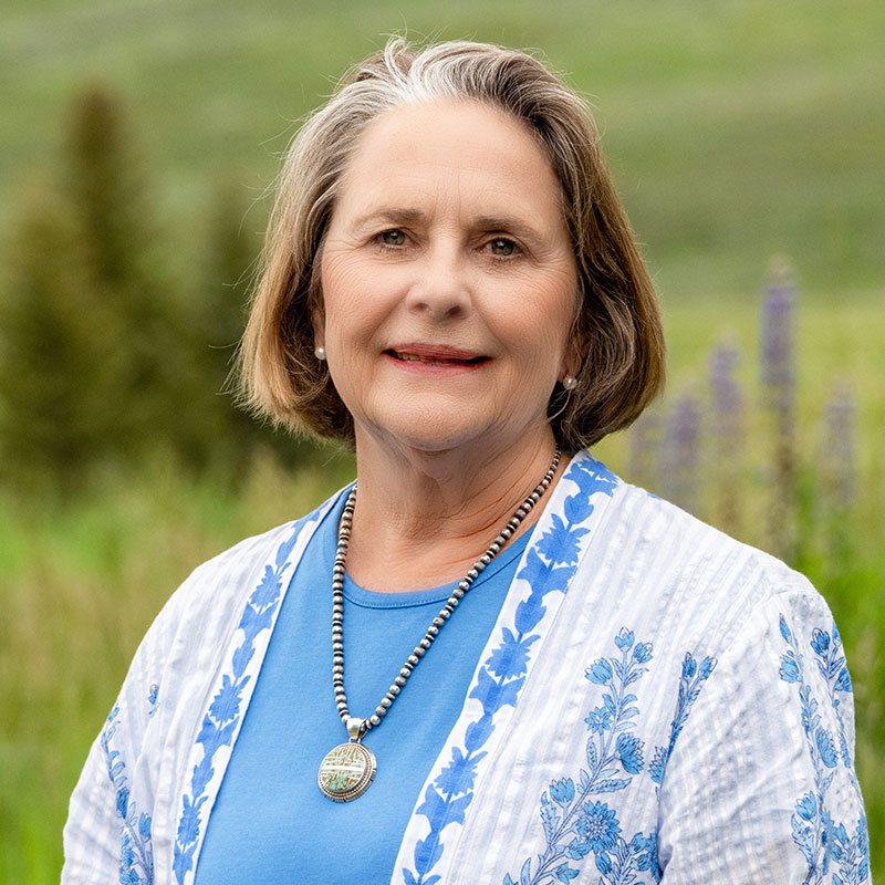 Amy Henderson - American Montessori Society (AMS) HOS Leadership Collective