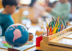 What Stands Behind the Montessori Name?