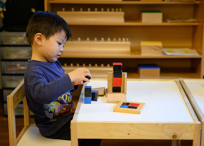 New US National Montessori Curriculum Announced